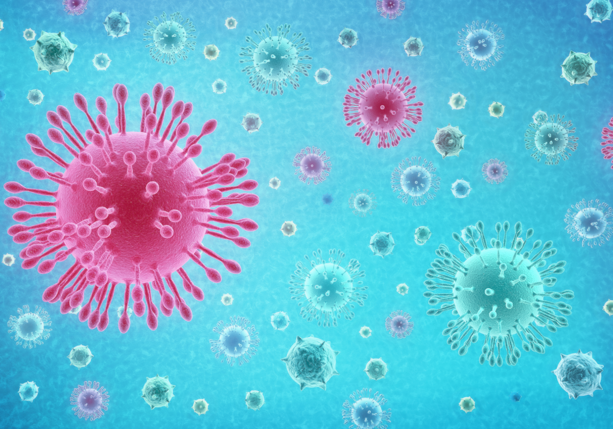 >Informações úteis sobre o surto de coronavírus