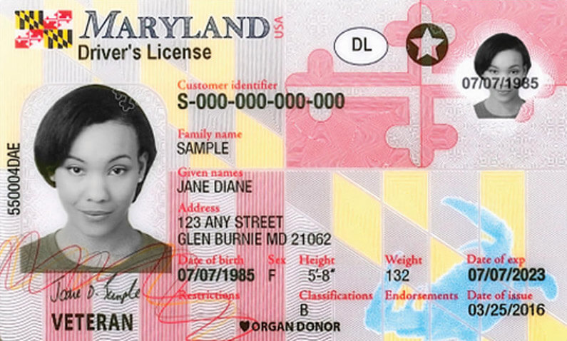 Maryland Driver's License