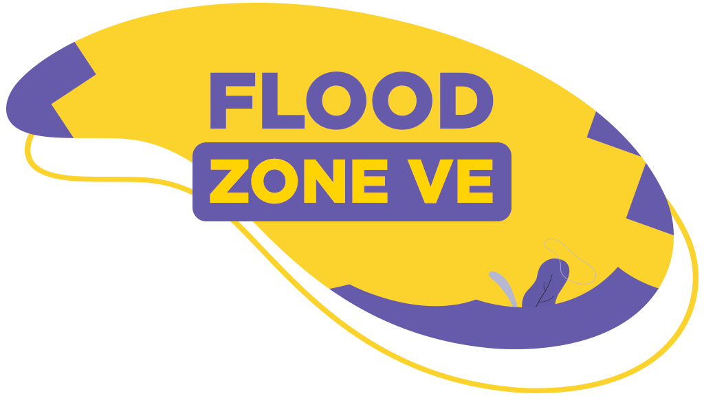 >O que é Flood Zone VE?