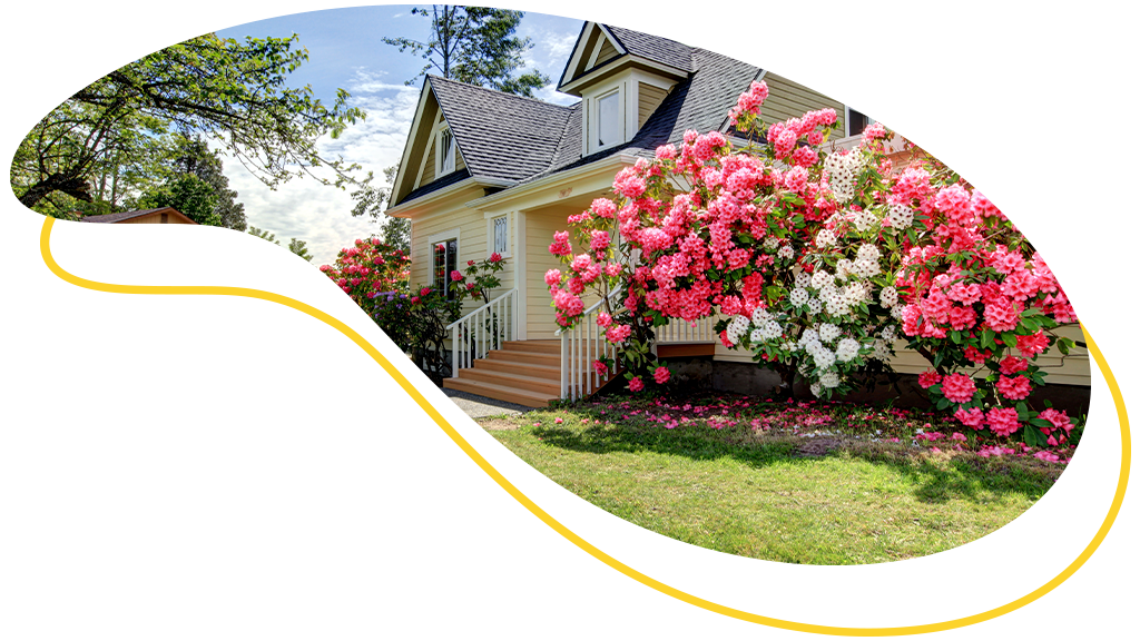 >9 dicas de manutenção de primavera para a sua casa 